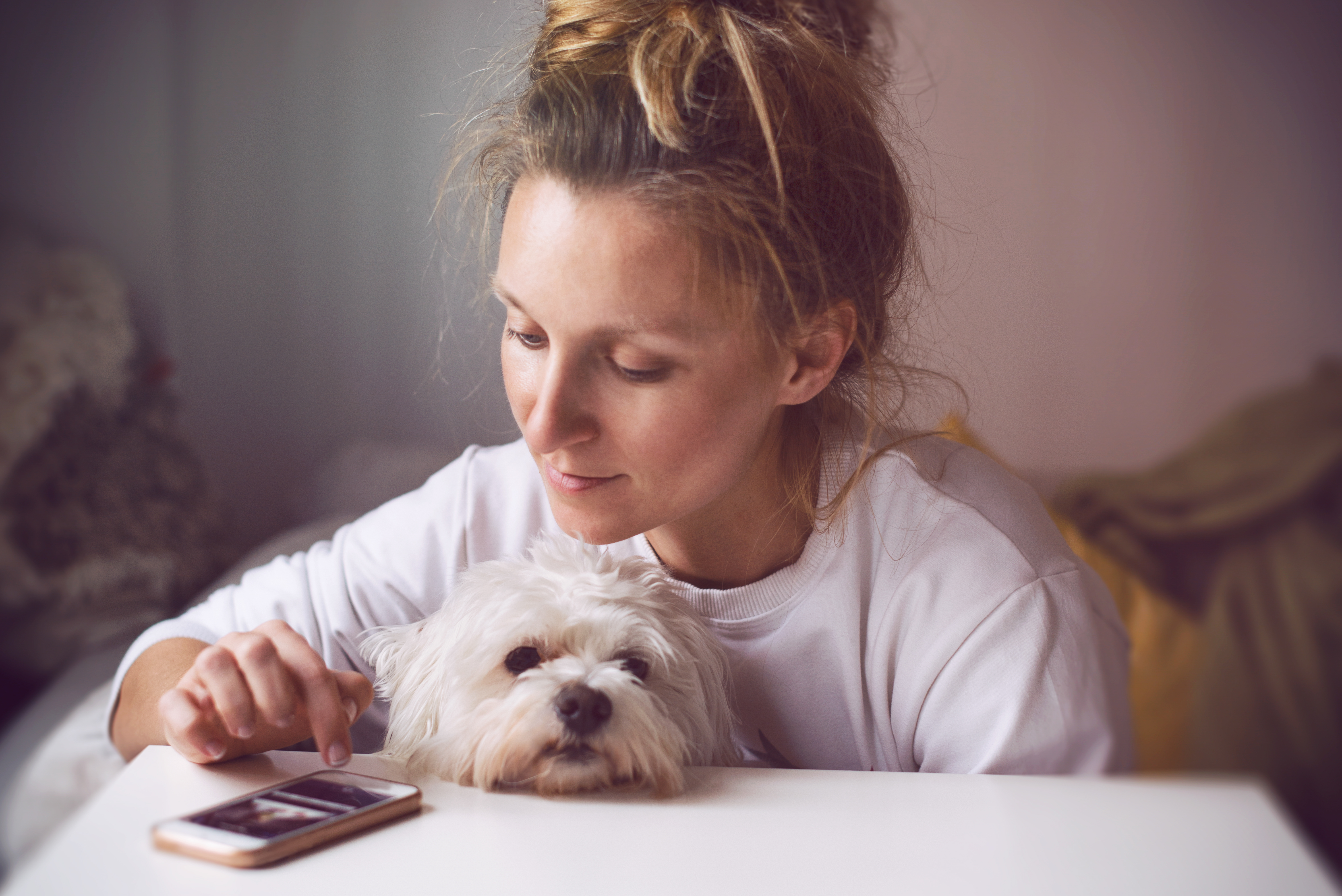 Kvinne som sit ved eit bord og sjekkar mobilen. Ho har ein kvit hund i fanget. Hunden kviler haka på bordet.