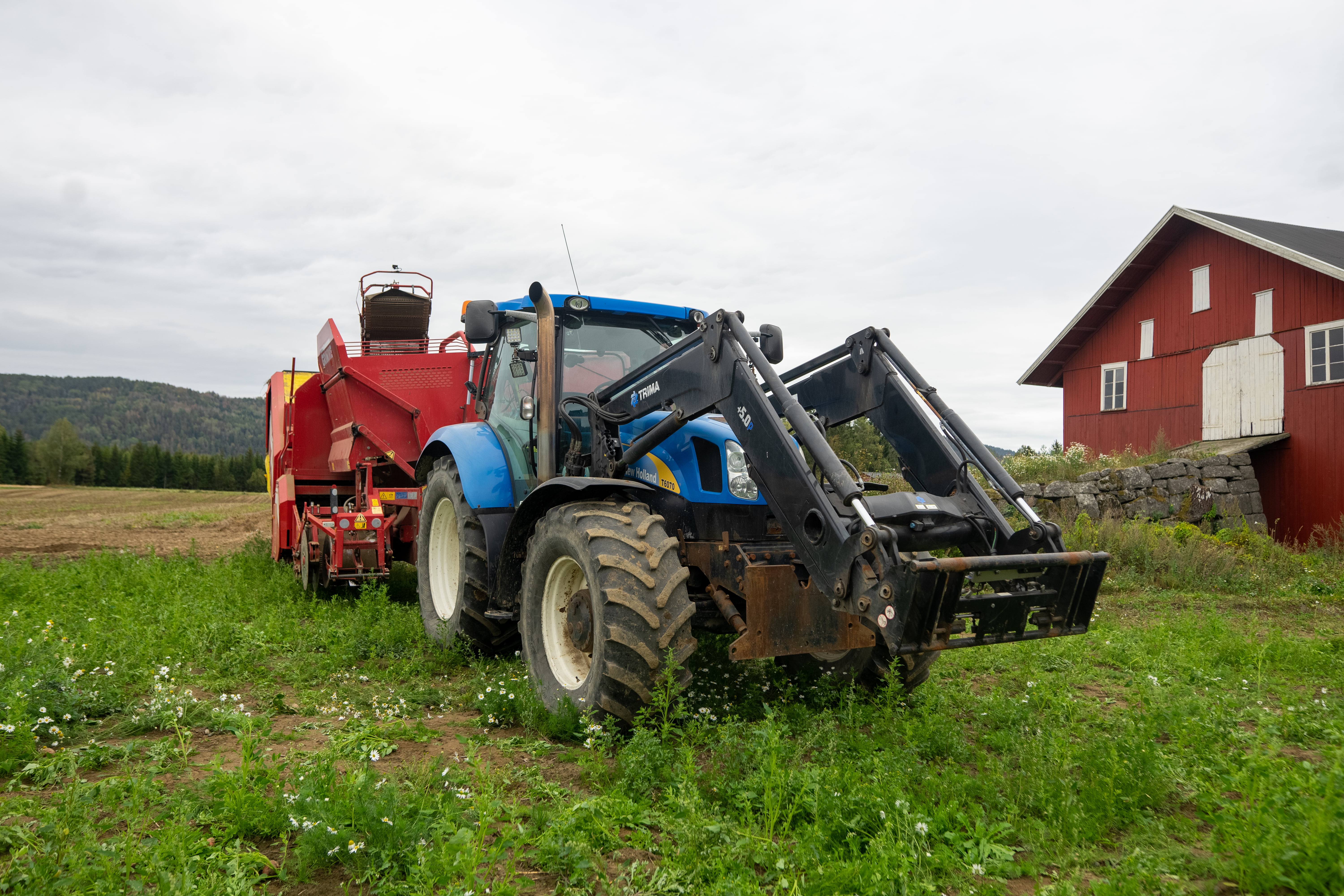 Blå traktor med raud landbruksmaskin står på ein grøn åker ved sida av ein raud låve.